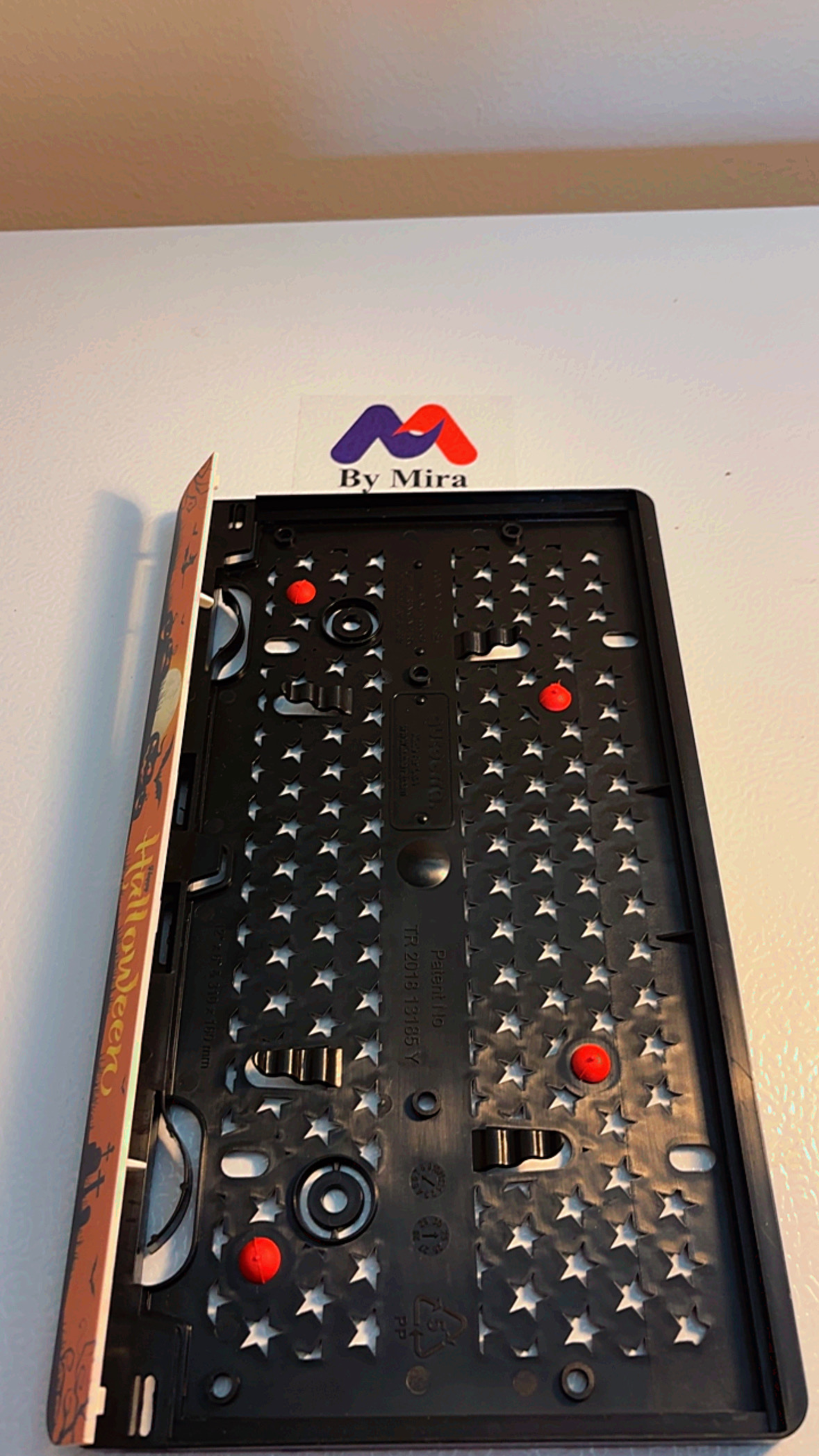 Metal License Plate Holder 4